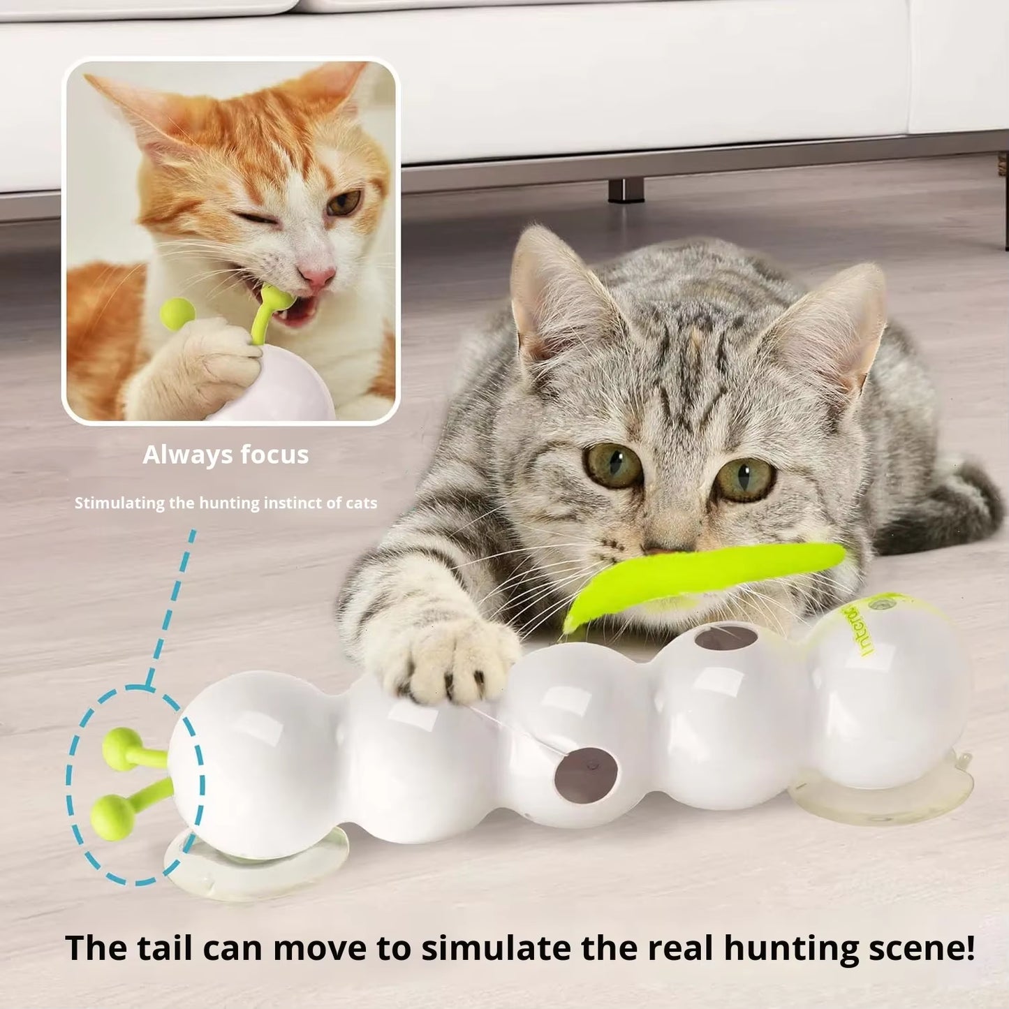 Factory Price Modern Eco-Friendly Plastic Feather Interactive Cat Toy Smart Motion Activated Whack Hole Teaser Automatic Moving
